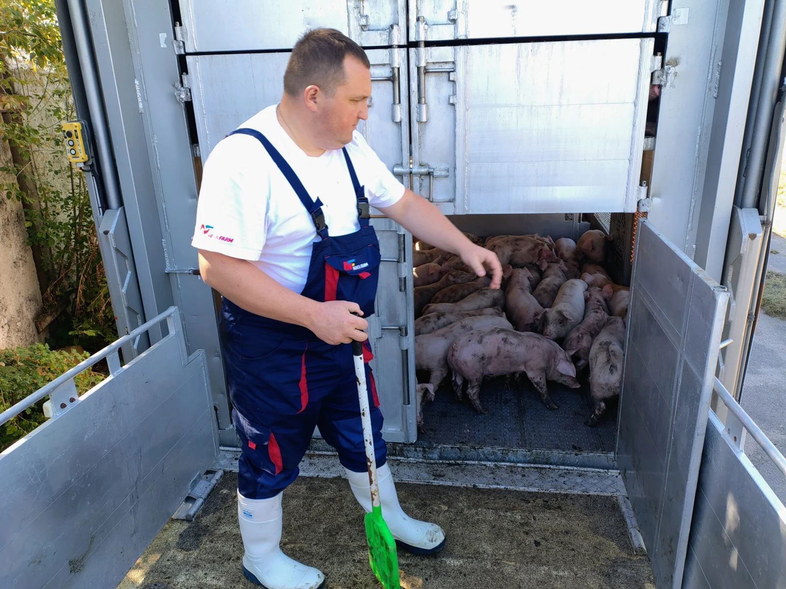 Фотографія Nika Farm 4